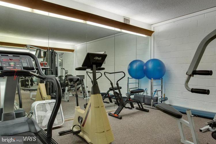 7661 Provincial Drive, Unit 301 McLean, VA 22102 - Photo 22 of 23 Workout Room