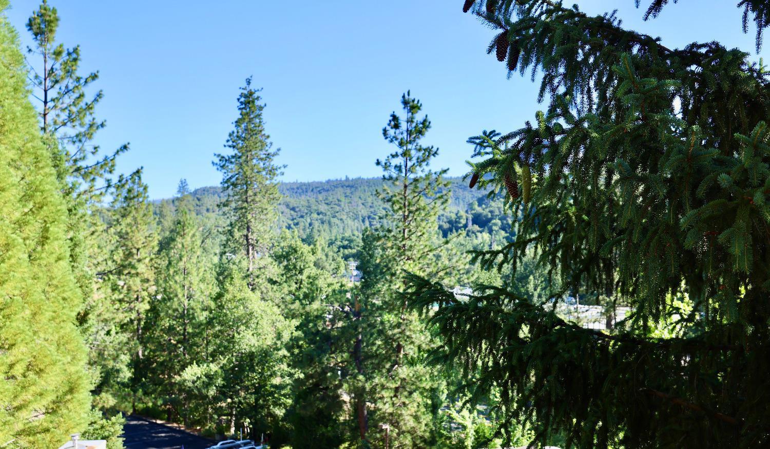 40547 Saddleback Road Bass Lake, CA 93604 - Photo 15 of 27