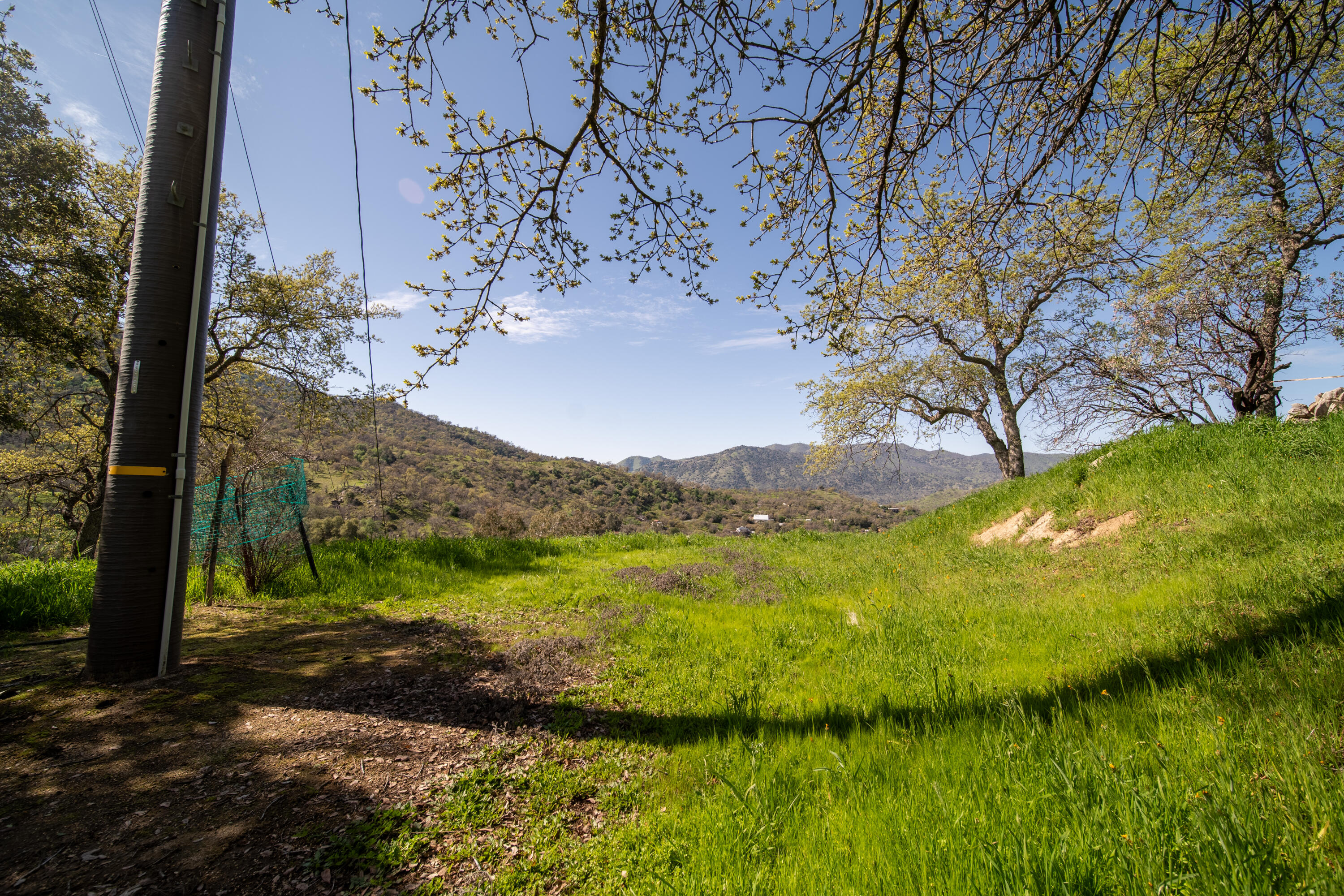 44040 Skyline Drive Three Rivers, CA 93271 - Photo 39 of 40 a view of an outdoor space and a yard