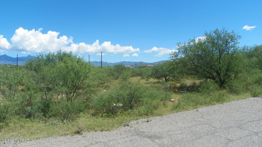 1862 Circulo Girasol, Unit 293 Rio Rico, AZ 85648 - Photo 1 of 1