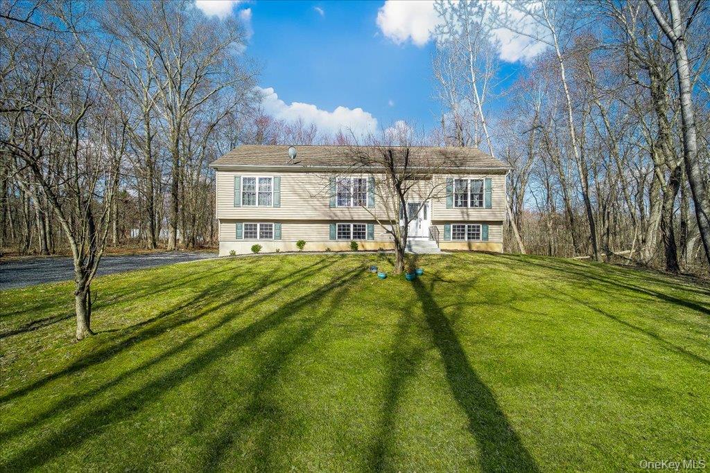 237 South Ohioville Road New Paltz, NY 12561 - Photo 3 of 48 a view of an house with backyard and trees