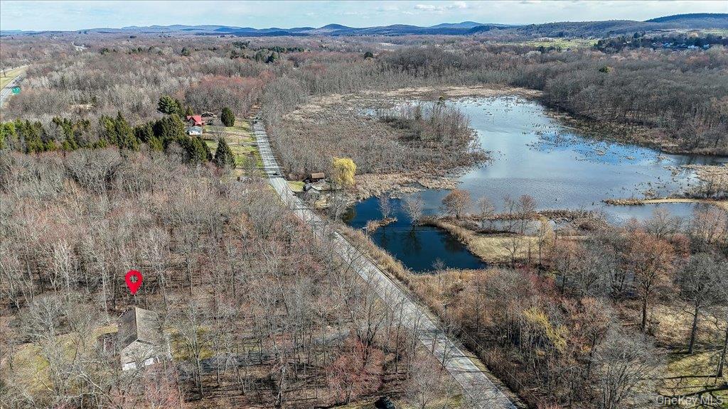 237 South Ohioville Road New Paltz, NY 12561 - Photo 4 of 48 a view of lake with mountain