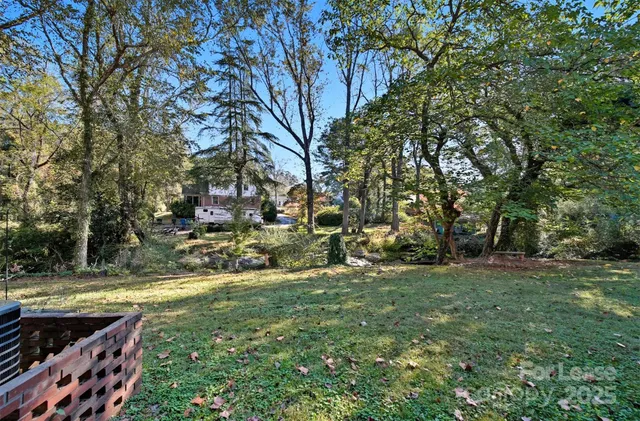 a view of yard with tree