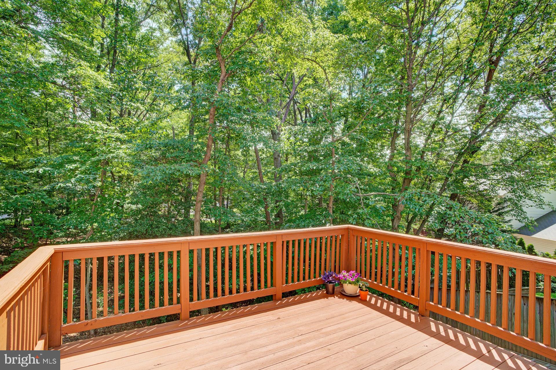 5994 Powell's Landing Road Burke, VA 22015 - Photo 24 of 31 Large deck backs to woods