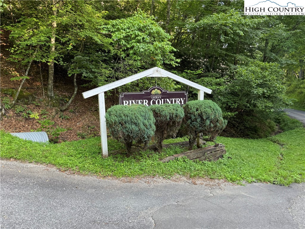 Lot 20 Double Branch Road Grassy Creek, NC 28631 - Photo 8 of 13