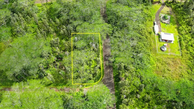 a view of a yard with a plant