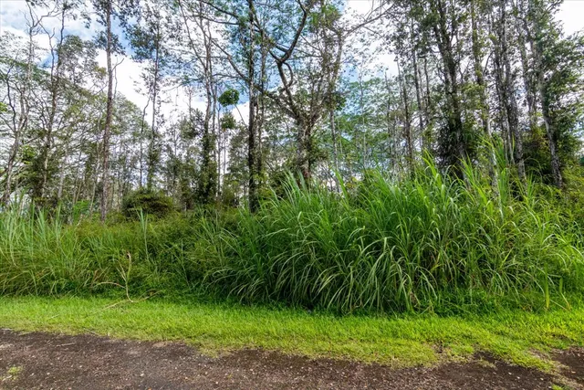 a view of a street view