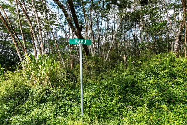 an aerial view of a residential house with a yard