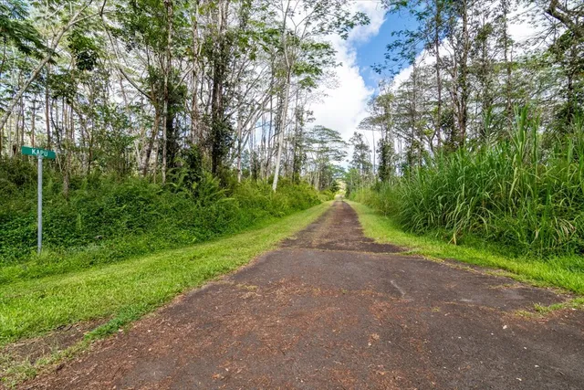 an aerial view of a city with ocean view