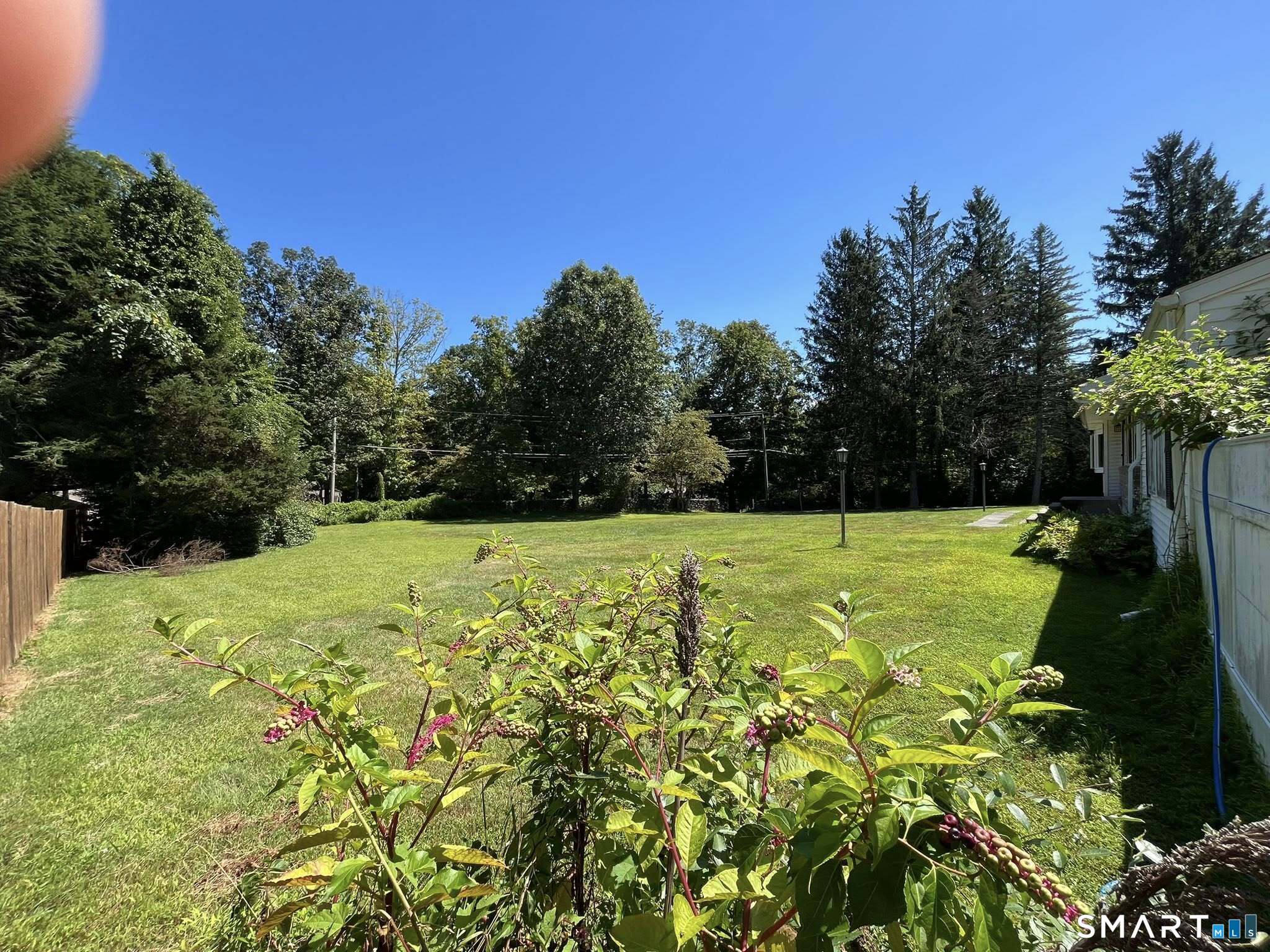 62 Old Hawleyville Road Bethel, CT 06801 - Photo 22 of 46 a view of a golf course with a tree