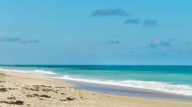 a view of an ocean beach