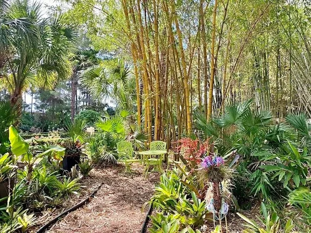 a picture of flowers