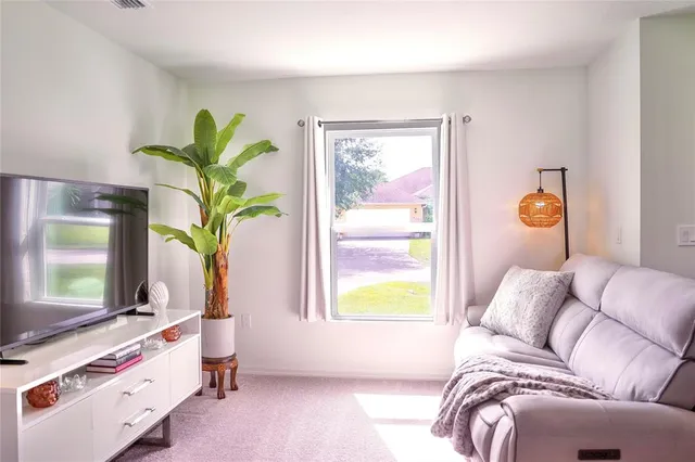 a living room with furniture and a potted plant
