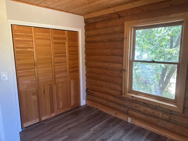 a view of a yard with plants and large trees