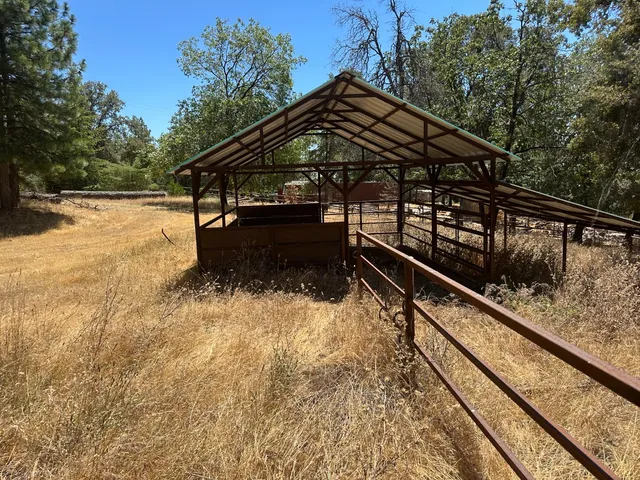 a view of yard with trees