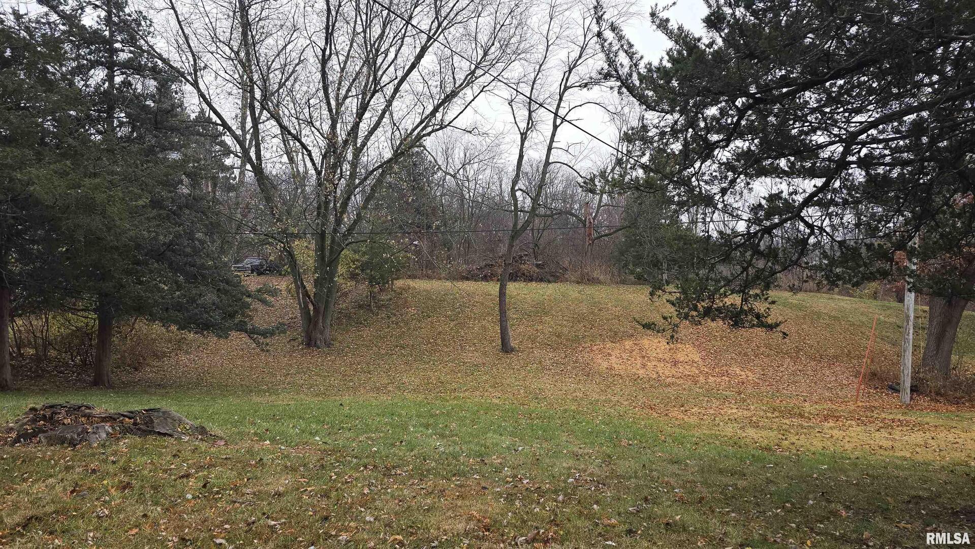 1028 Coyne Center Road Milan, IL 61264 - Photo 21 of 21 a backyard of a house with lots of green space