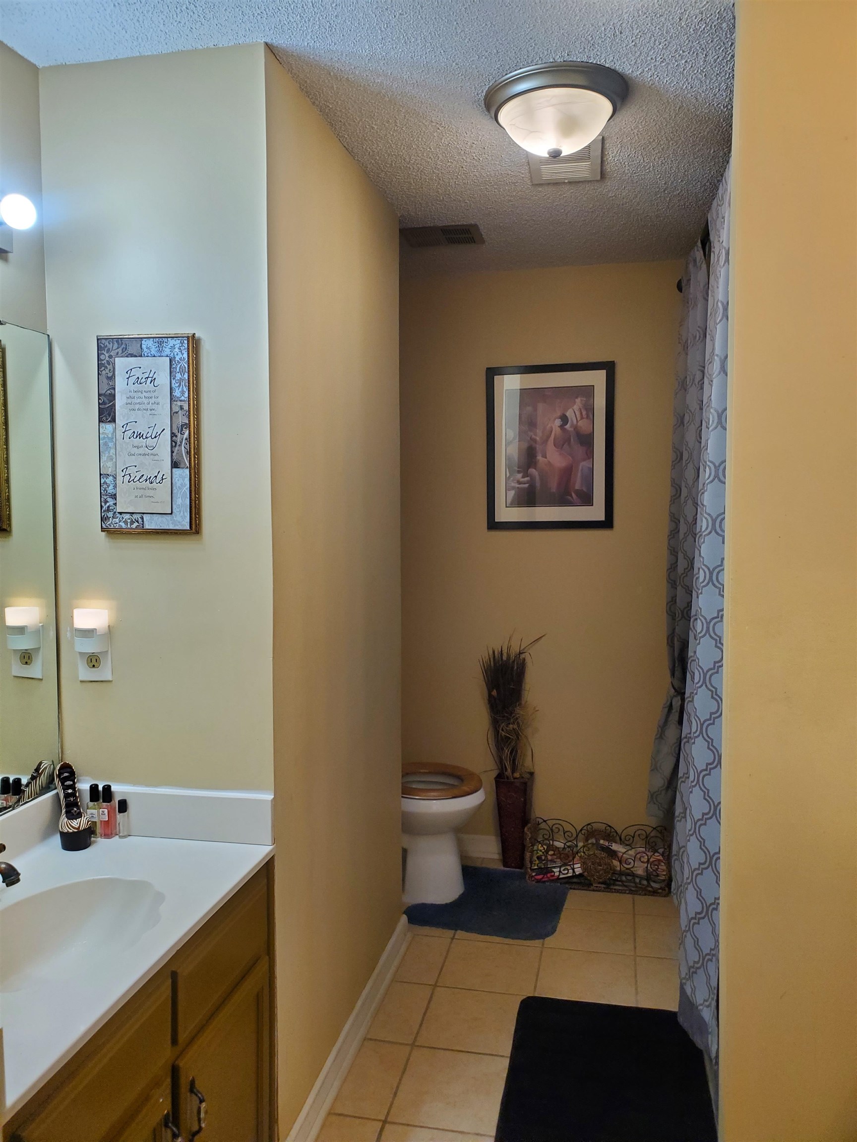 6769 Ross Ridge Drive Memphis, TN 38141 - Photo 17 of 25 a bathroom with a sink and a toilet