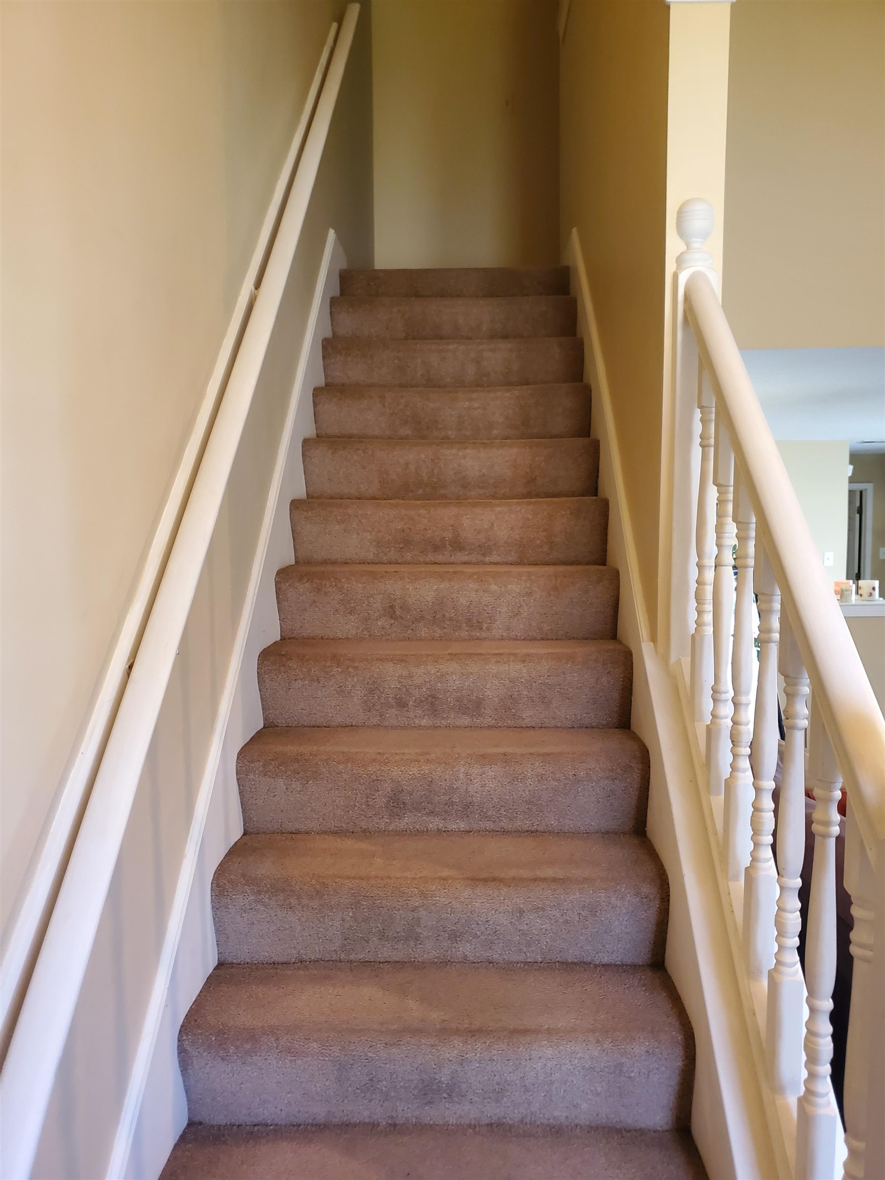 6769 Ross Ridge Drive Memphis, TN 38141 - Photo 19 of 25 a view of entryway