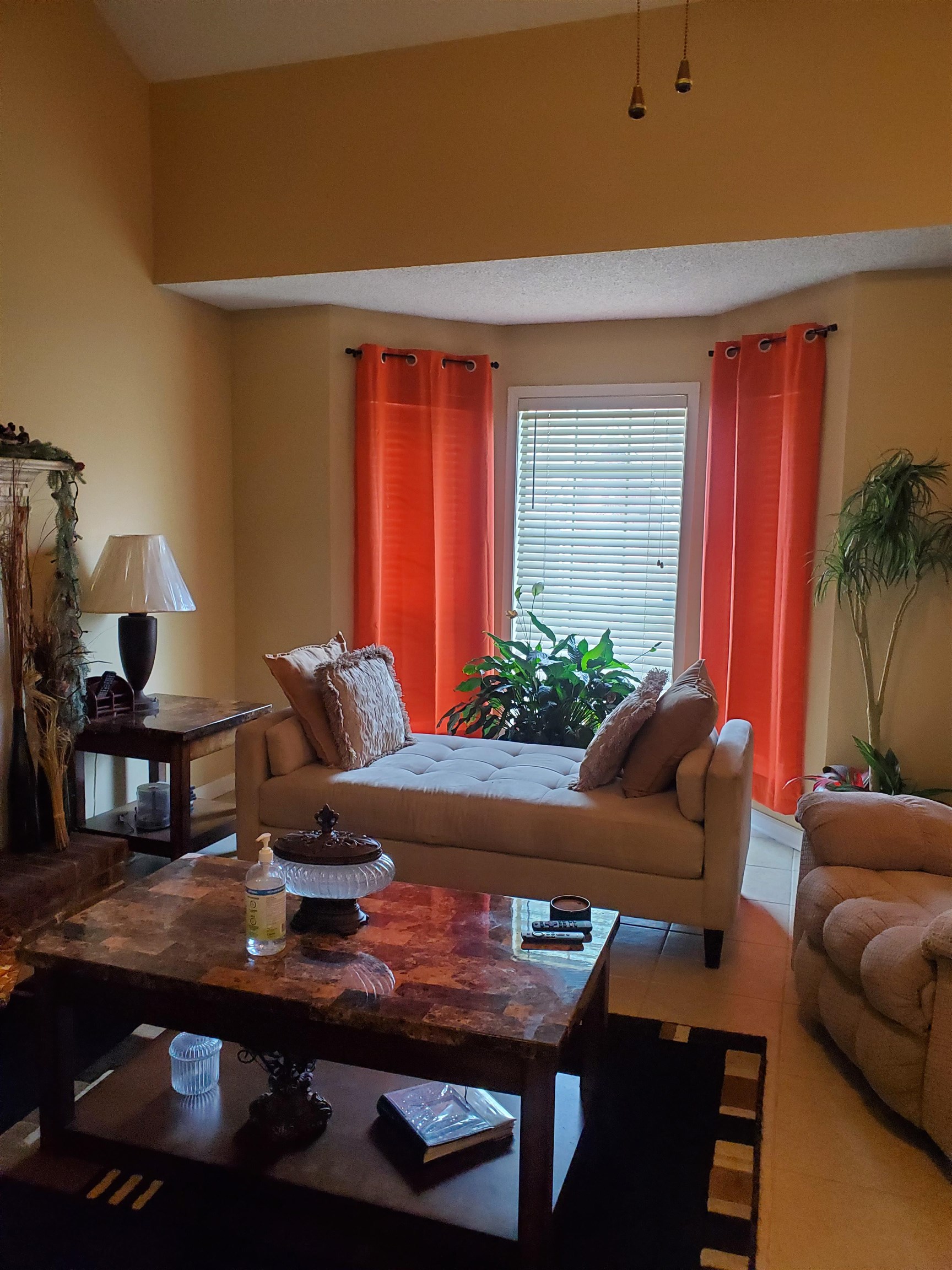 6769 Ross Ridge Drive Memphis, TN 38141 - Photo 7 of 25 a living room with furniture and a potted plant