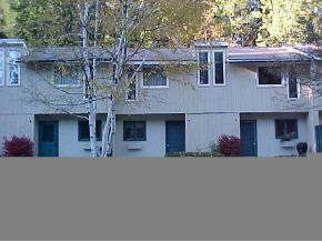 4 Dover Green Road, Unit 4 West Dover, VT 05356 - Photo 1 of 1 Gallery Image 1