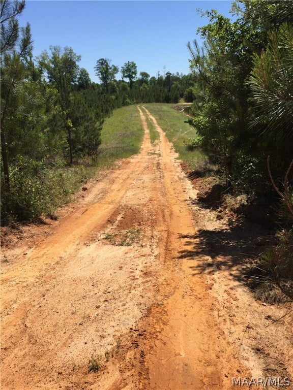 O O Naftel Road Ramer, AL 36069 - Photo 10 of 25 Gallery Image 10