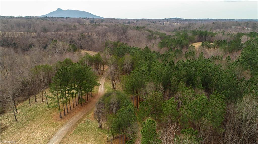 14 Matthews Road Pilot Mountain, NC 27041 - Photo 21 of 25 Gallery Image 21