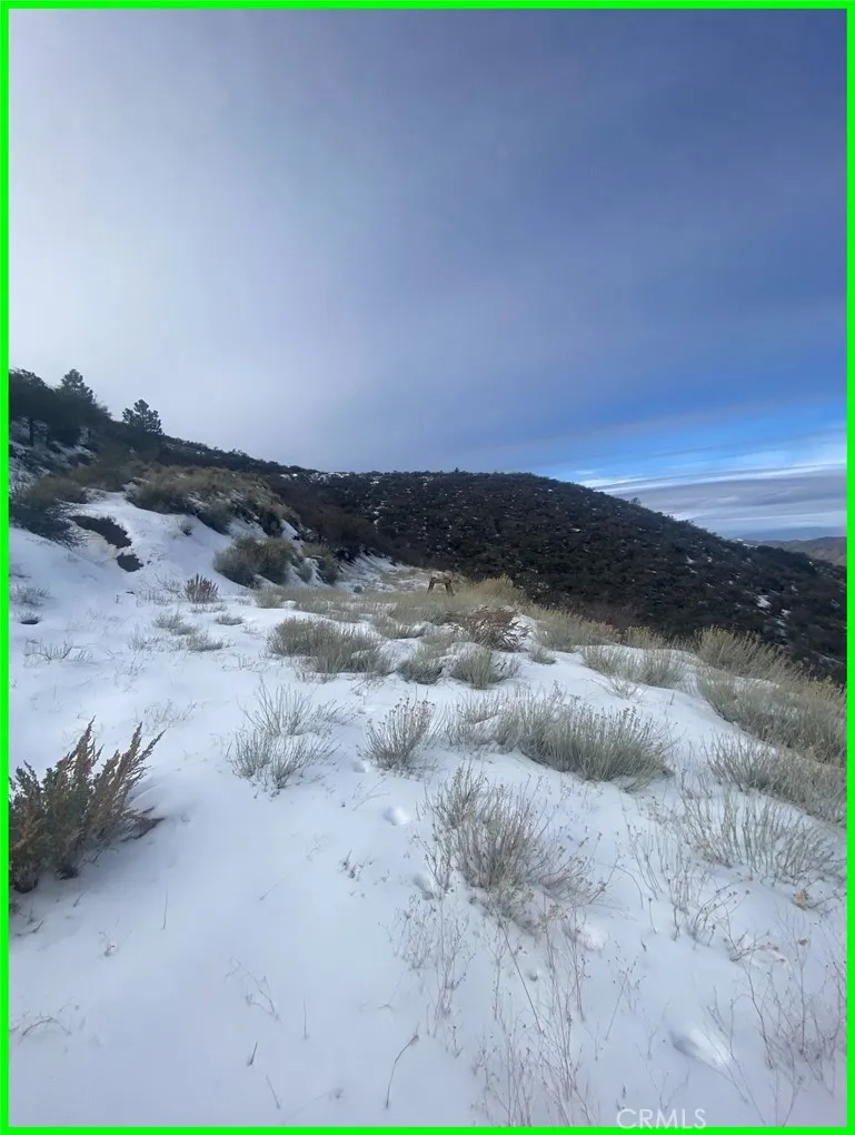 23601 Gotthard Tehachapi, CA 93561 - Photo 11 of 17 a view of a dry yard with wooden floor