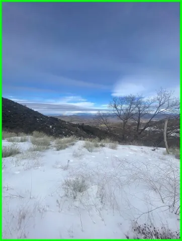 a view of a yard with an outdoor space