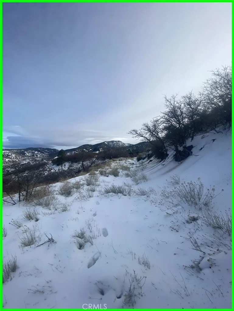 23601 Gotthard Tehachapi, CA 93561 - Photo 8 of 17 a view of a dry yard with trees and stairs