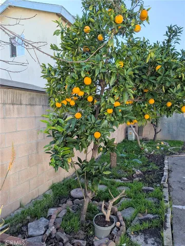 $4,000 | 914 West Alton Avenue, Santa Ana, CA 92707