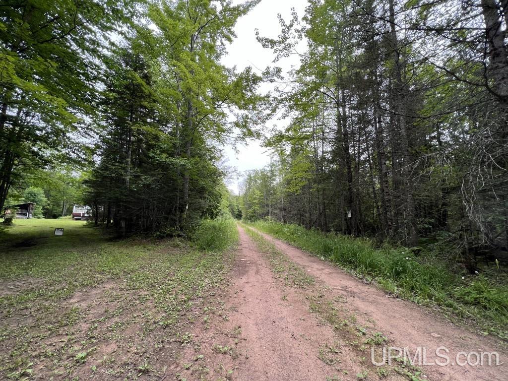 Tbd Tbd Stack Grade Little Lake Rock, MI 49880 - Photo 36 of 45