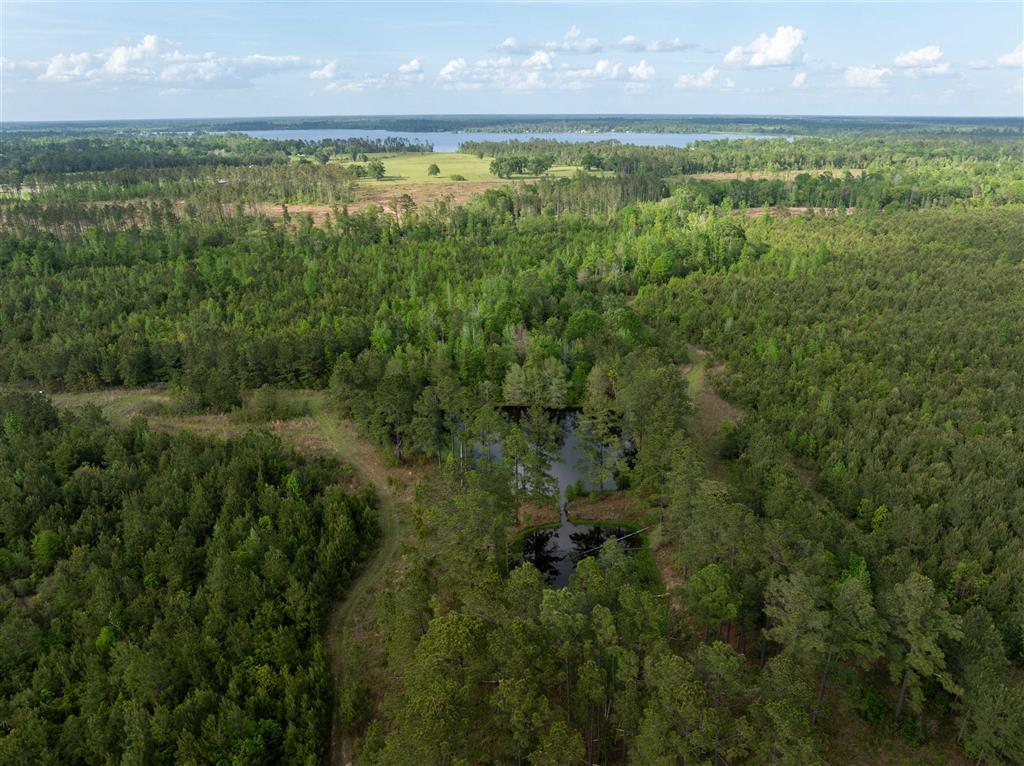 0 Odis Greene Road Deridder, LA 70634 - Photo 1 of 17 Gallery Image 1