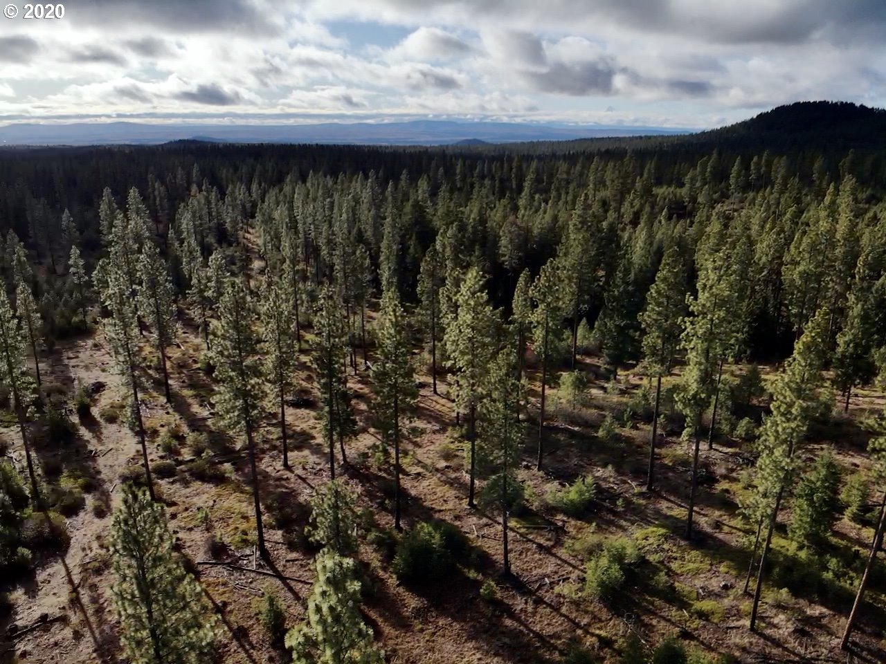 Monument Road Goldendale, WA 98620 - Photo 1 of 16 Gallery Image 1