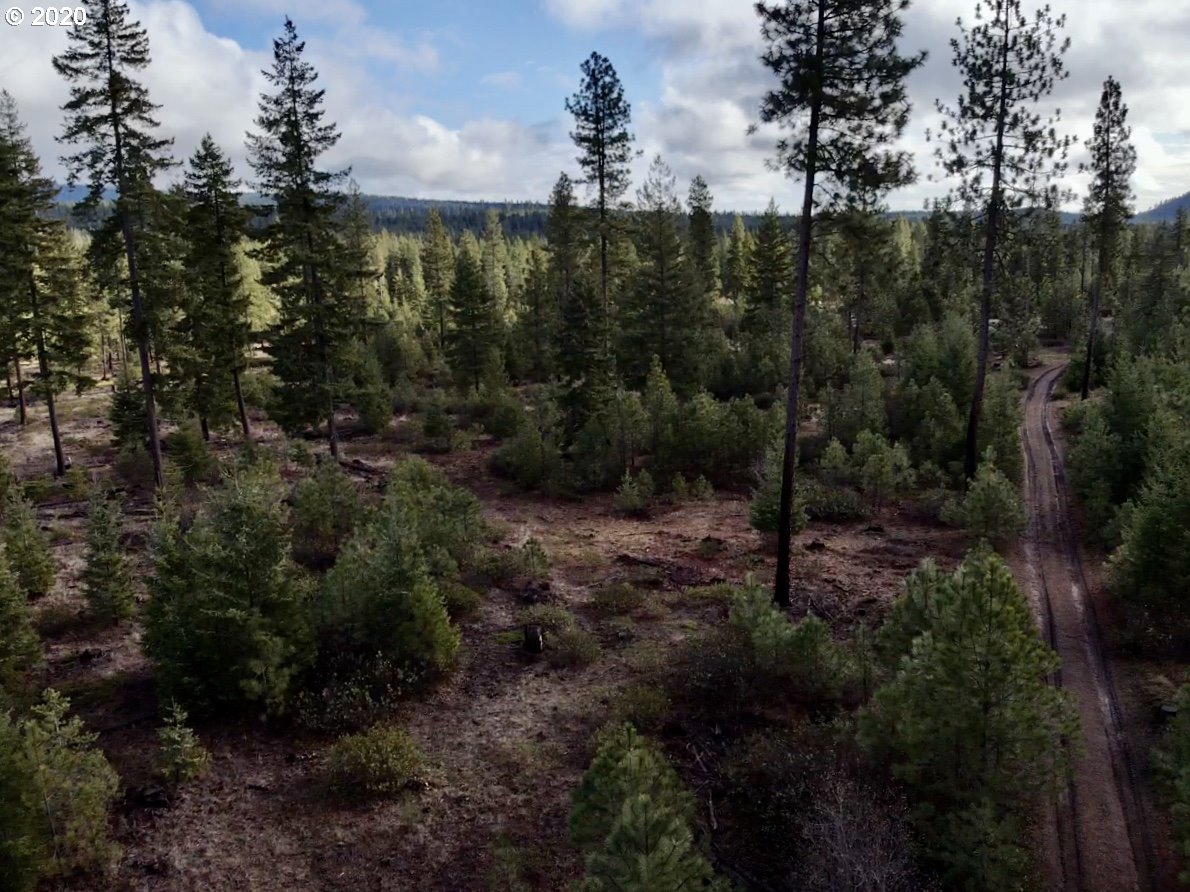 Monument Road Goldendale, WA 98620 - Photo 2 of 16 Gallery Image 2