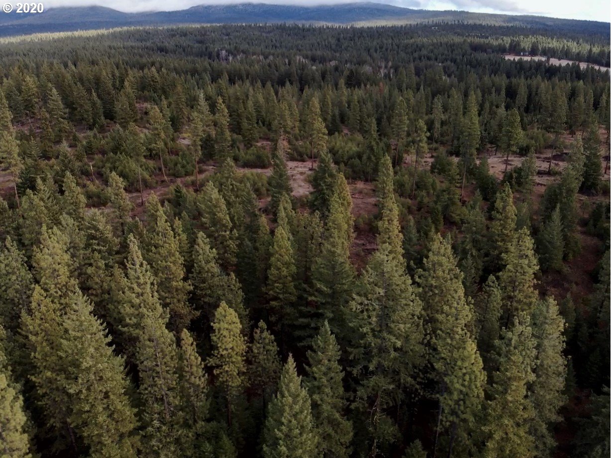 Monument Road Goldendale, WA 98620 - Photo 11 of 16 Gallery Image 11