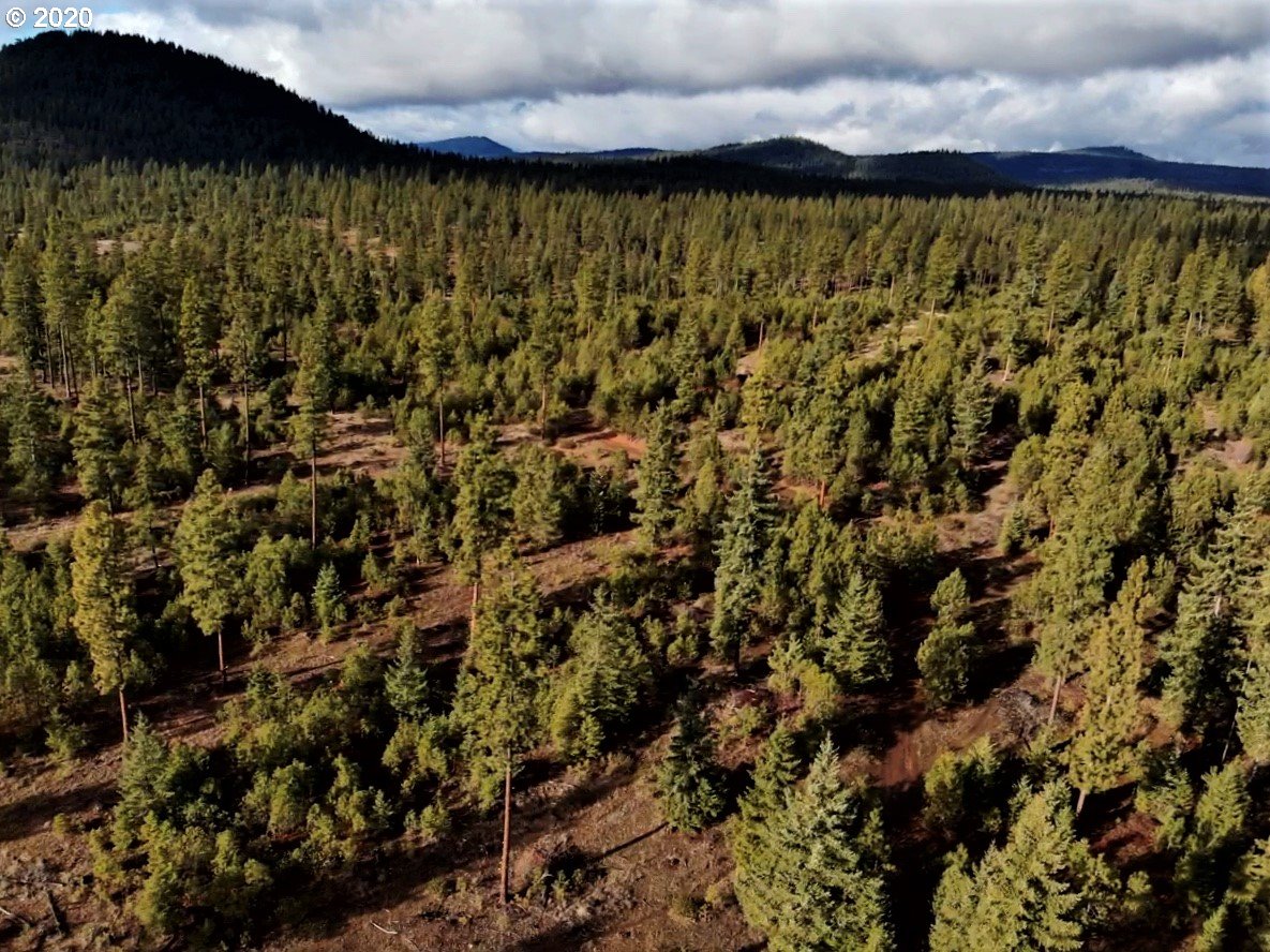 Monument Road Goldendale, WA 98620 - Photo 12 of 16 Gallery Image 12