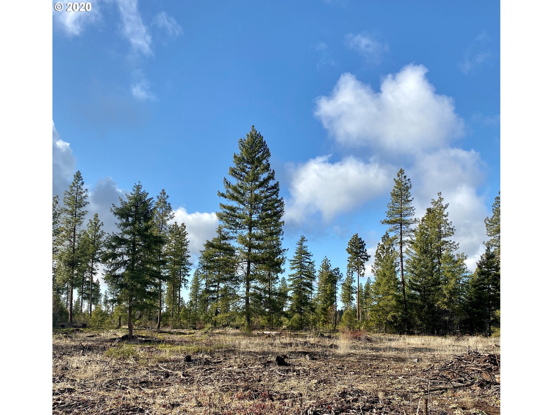 Monument Road Goldendale, WA 98620 - Photo 15 of 16 Gallery Image 15
