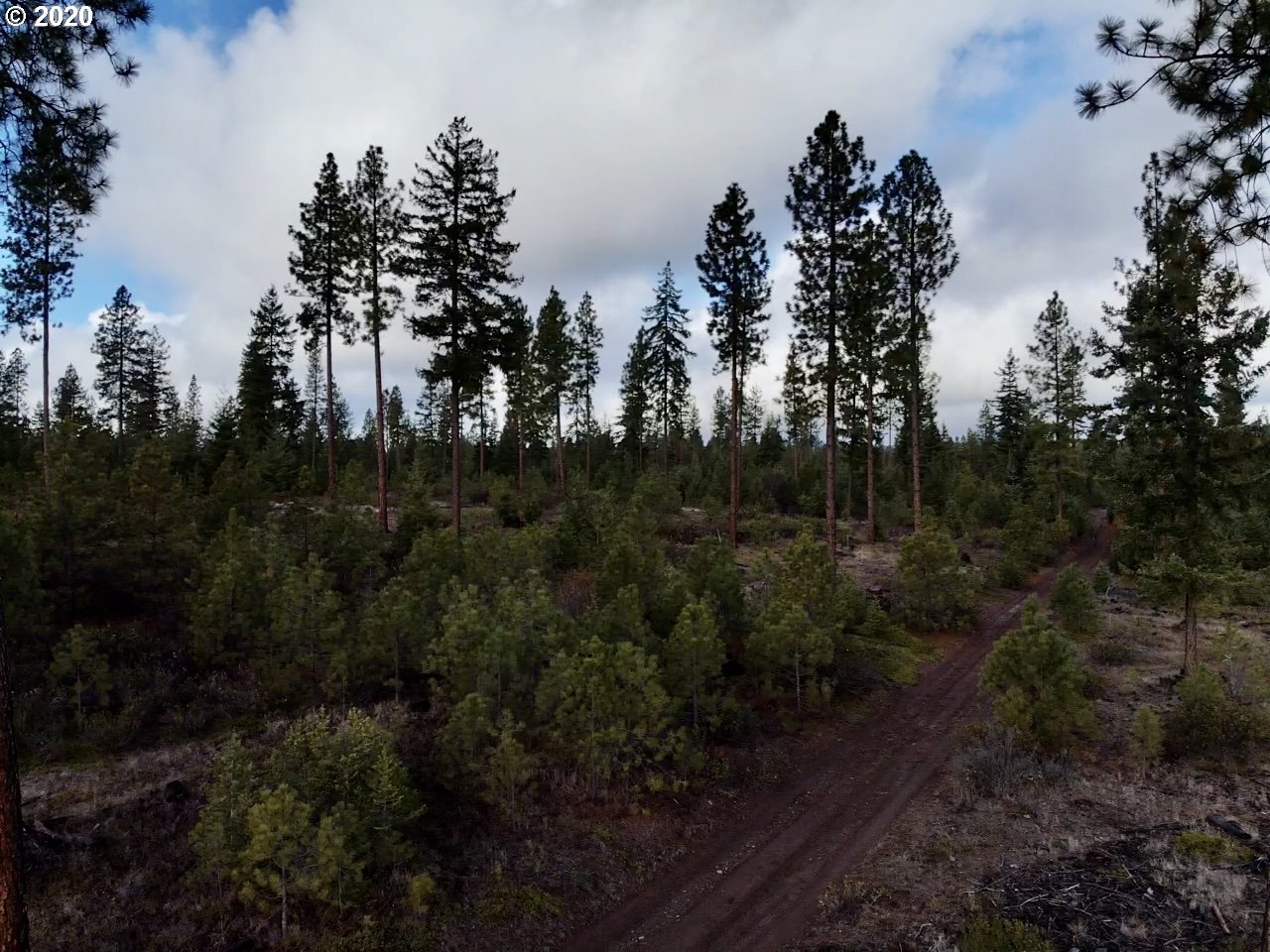 Monument Road Goldendale, WA 98620 - Photo 4 of 16 Gallery Image 4