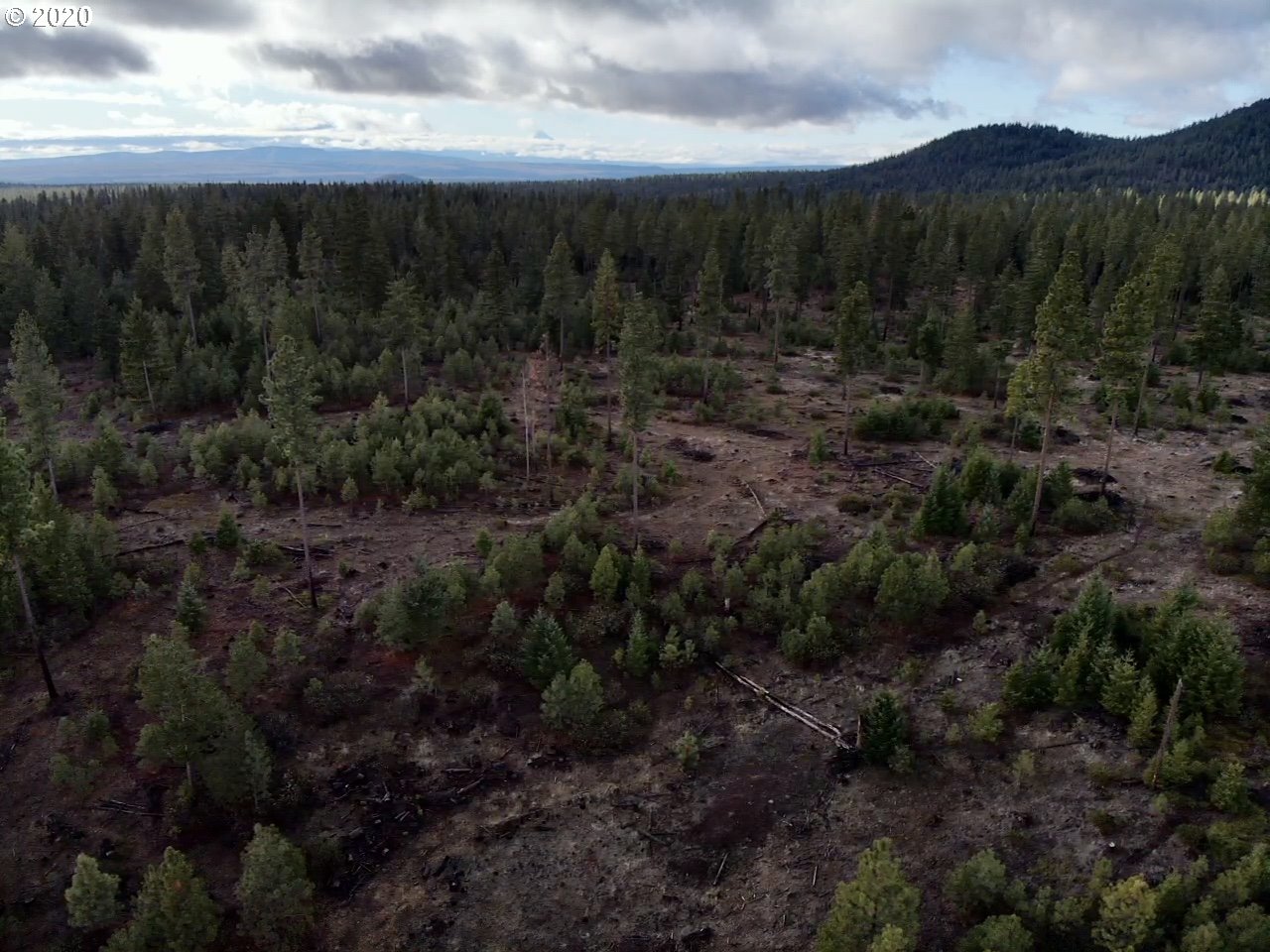 Monument Road Goldendale, WA 98620 - Photo 5 of 16 Gallery Image 5