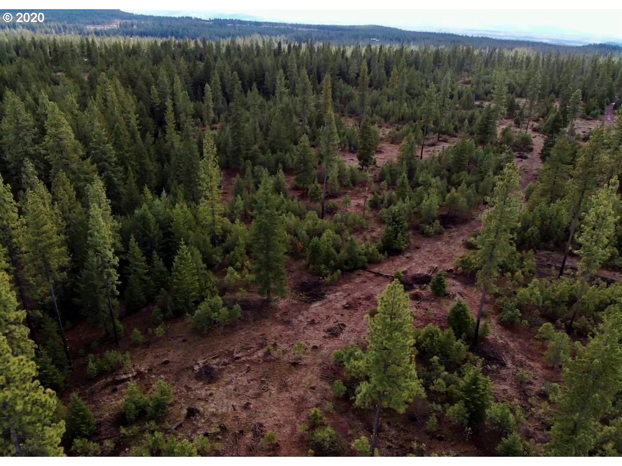 Monument Road Goldendale, WA 98620 - Photo 10 of 16 Gallery Image 10