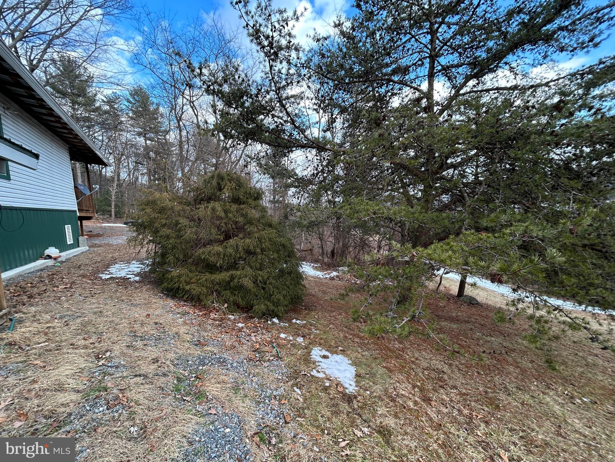 4743-4745 Chambersburg Road Biglerville, PA 17307 - Photo 41 of 101 a view of a yard with plants and a large tree
