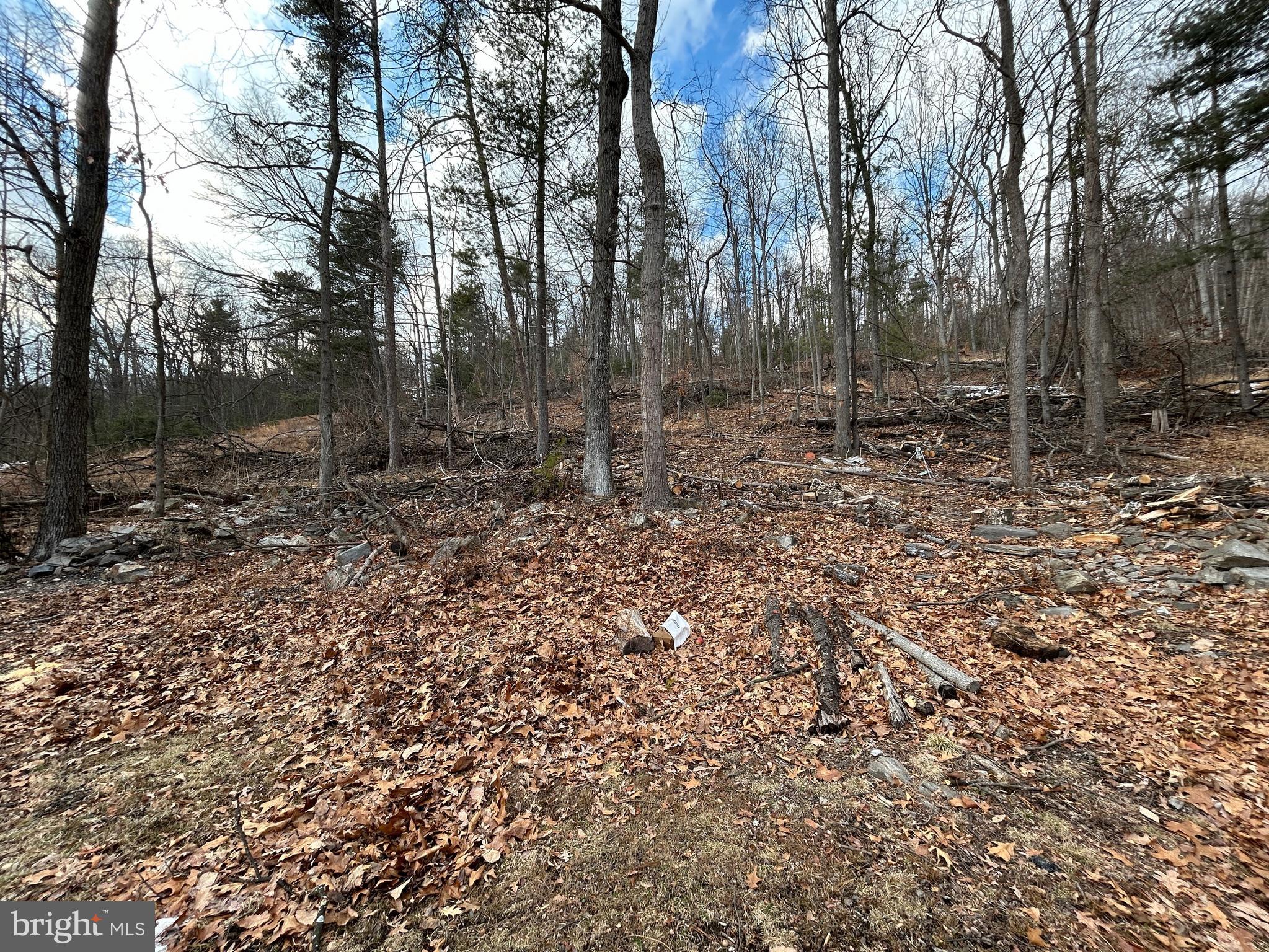 4743-4745 Chambersburg Road Biglerville, PA 17307 - Photo 46 of 101