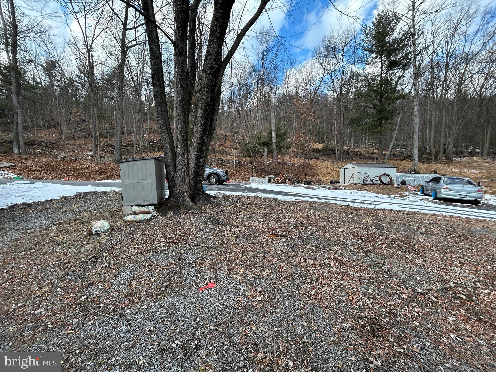 4743-4745 Chambersburg Road Biglerville, PA 17307 - Photo 48 of 101 a view of backyard with large trees and wooden fence