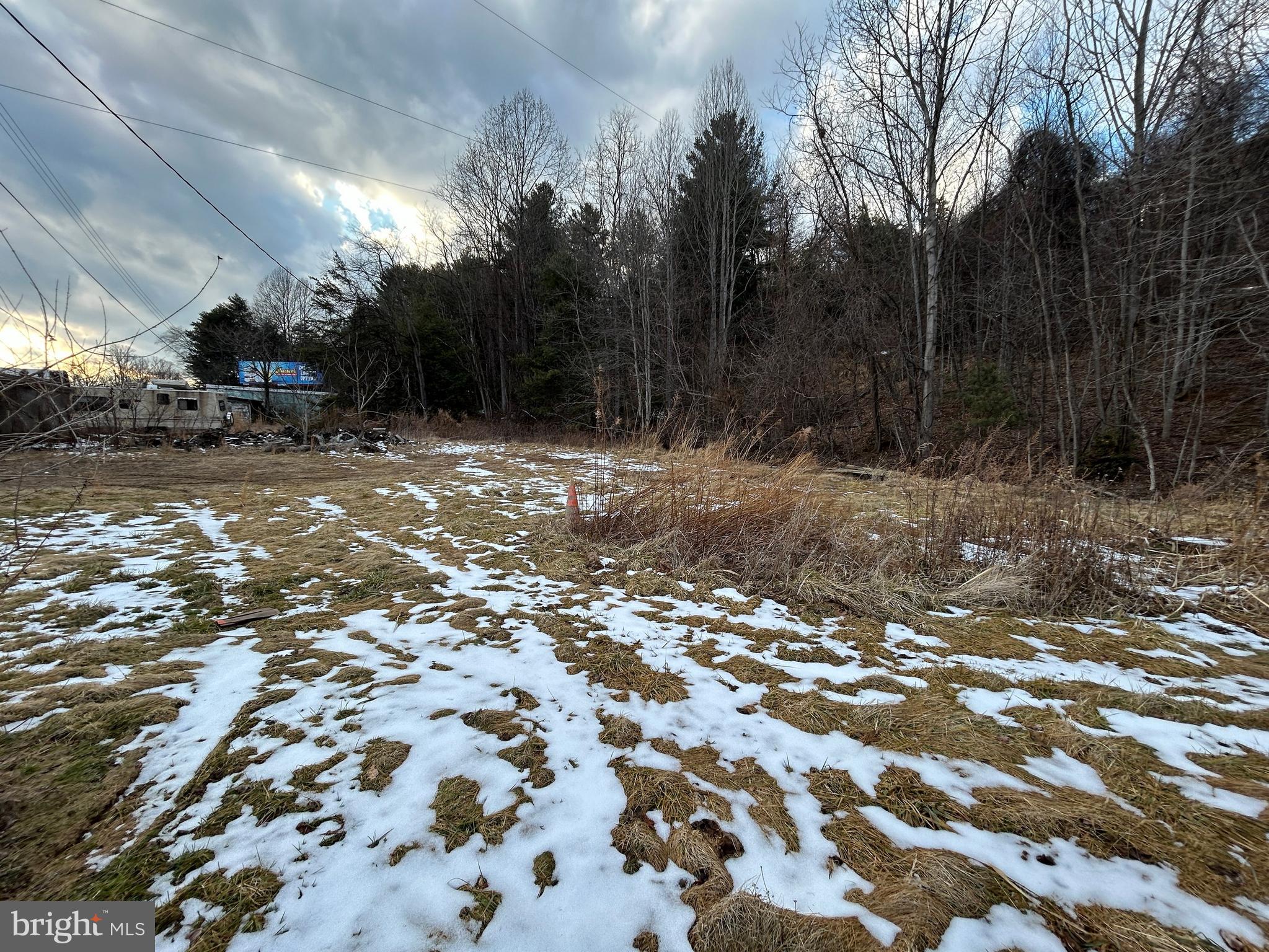 4743-4745 Chambersburg Road Biglerville, PA 17307 - Photo 67 of 101 a view of a yard with a tree