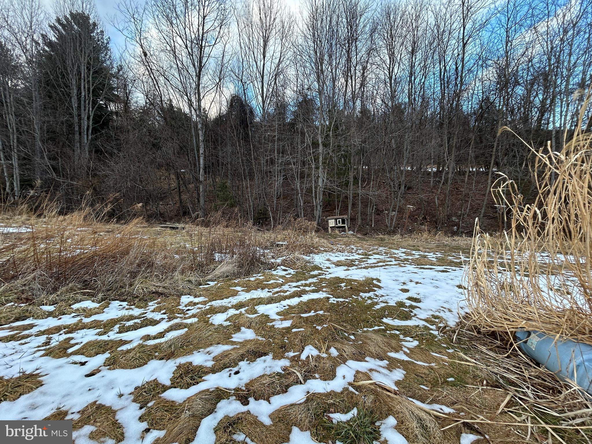 4743-4745 Chambersburg Road Biglerville, PA 17307 - Photo 68 of 101 a view of a tree with a yard