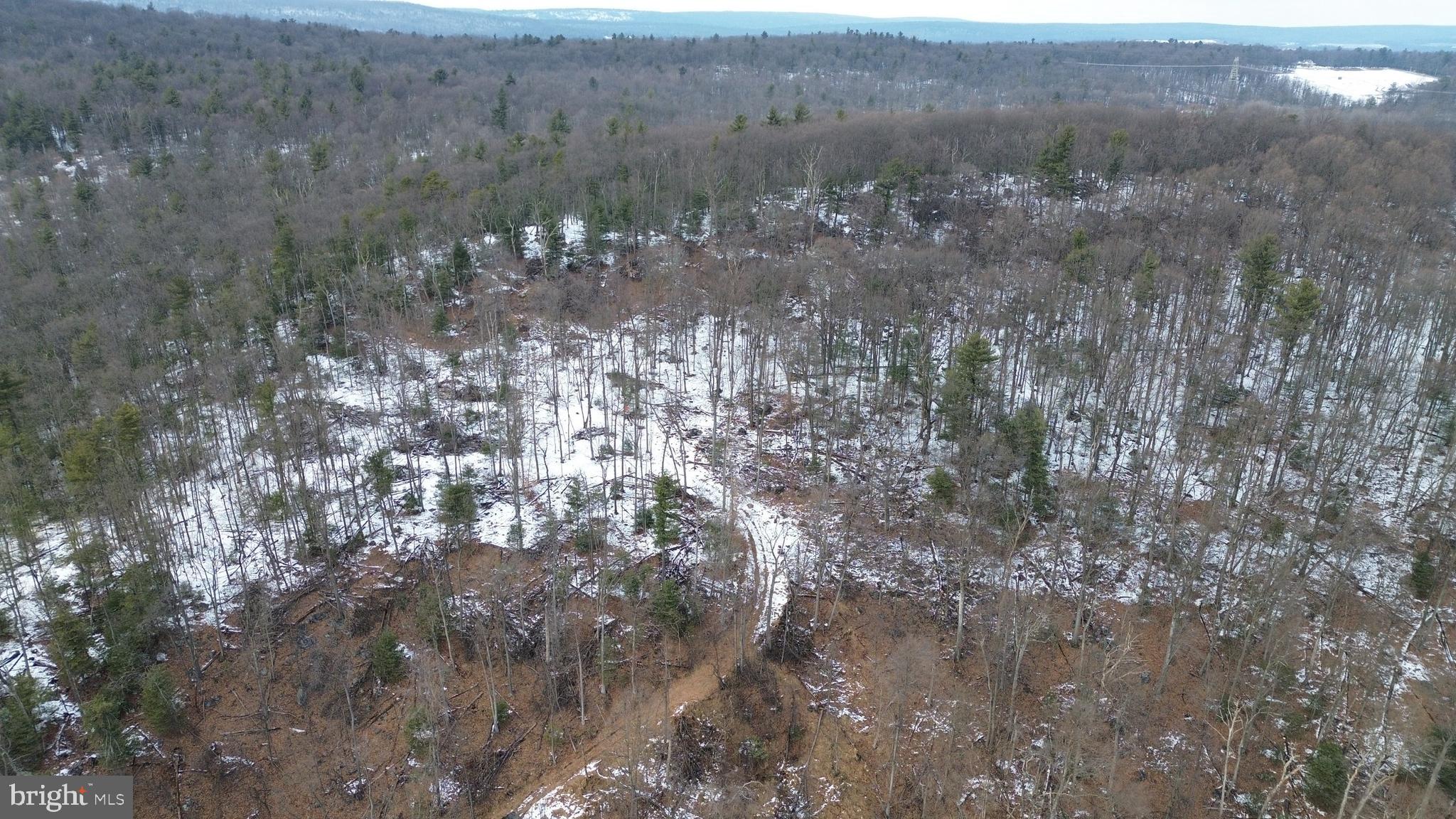 4743-4745 Chambersburg Road Biglerville, PA 17307 - Photo 84 of 101 a view of a forest with a mountain view