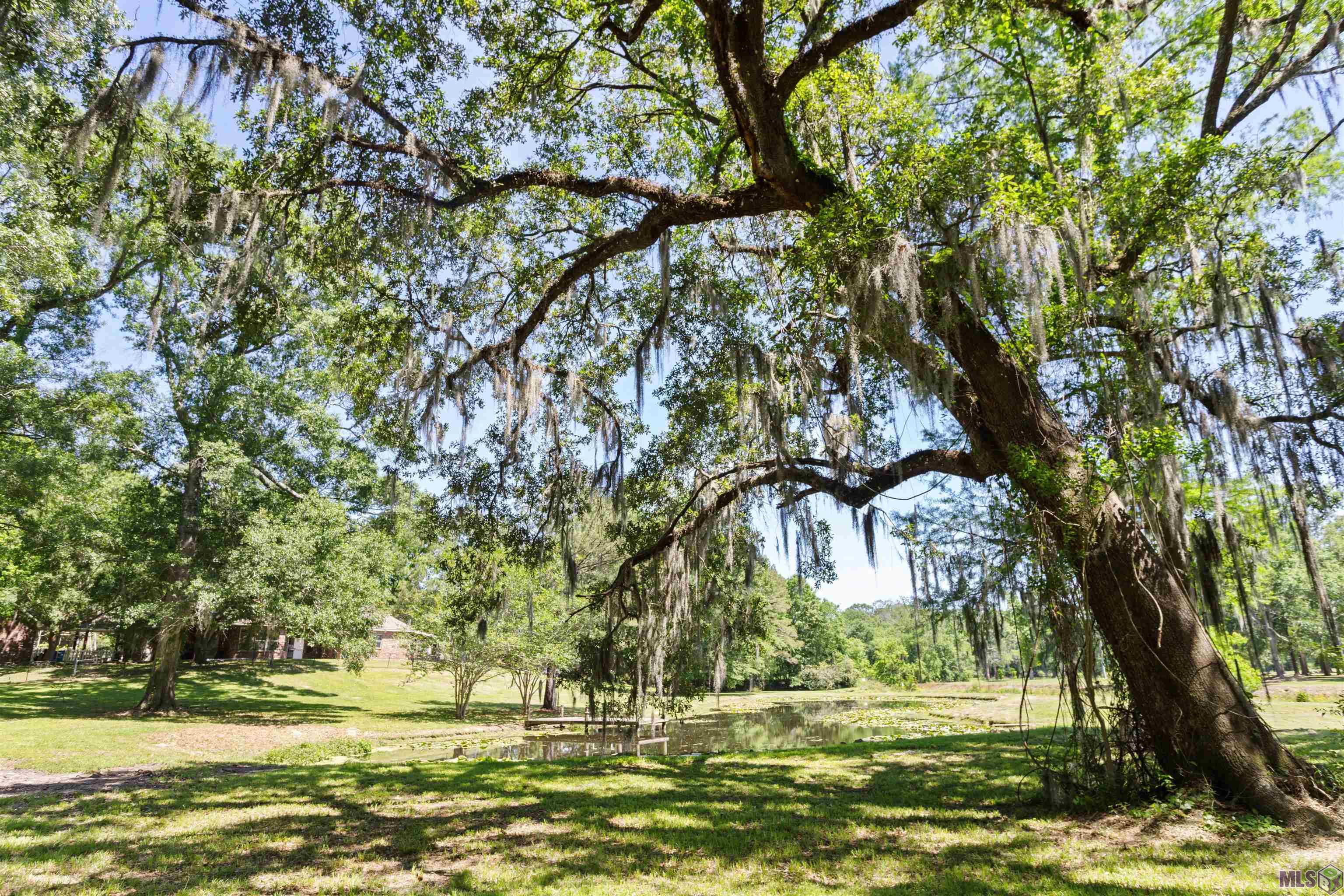 18377 Belle Grove Road Prairieville, LA 70769 - Photo 27 of 31 Gallery Image 27