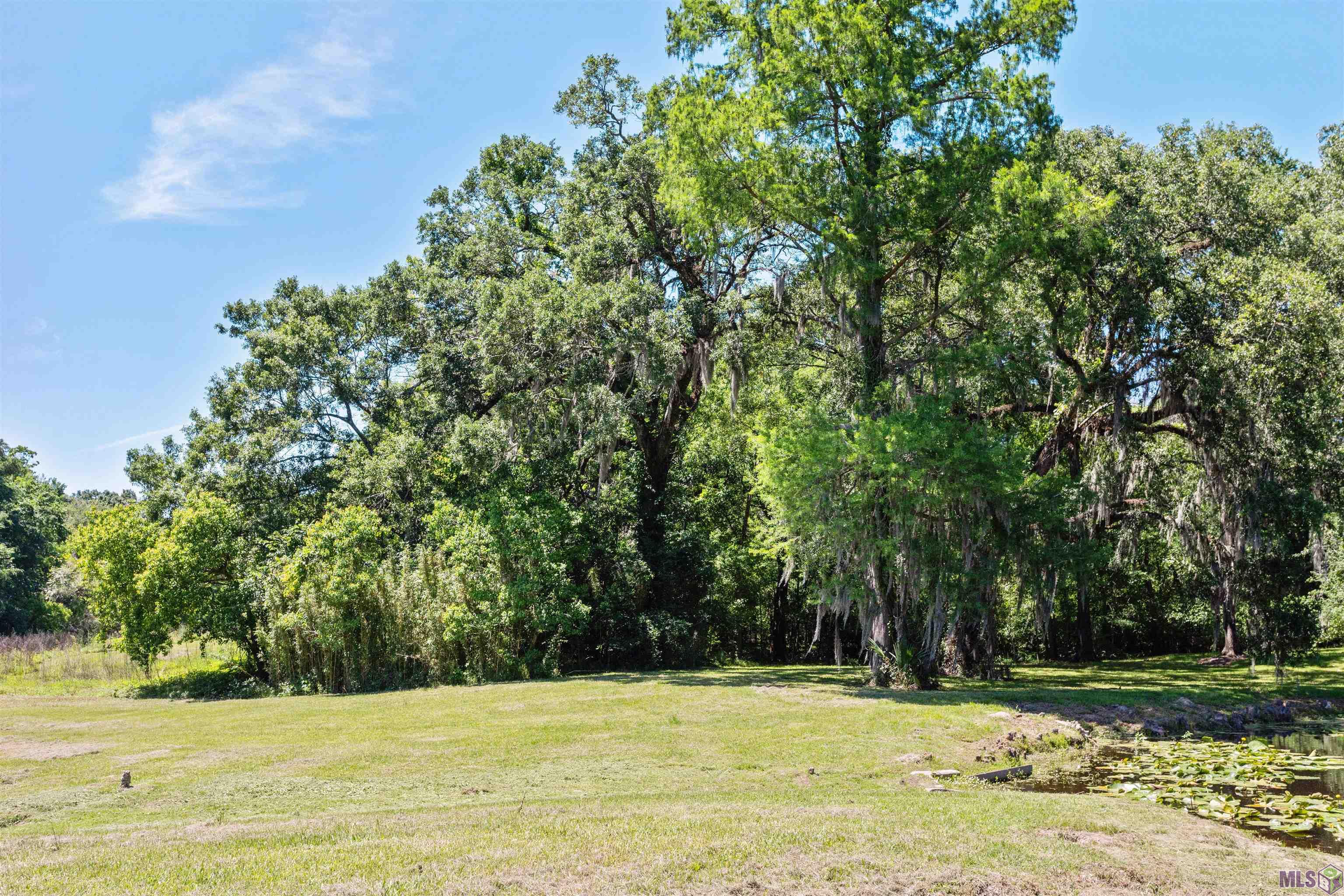 18377 Belle Grove Road Prairieville, LA 70769 - Photo 29 of 31 Gallery Image 29