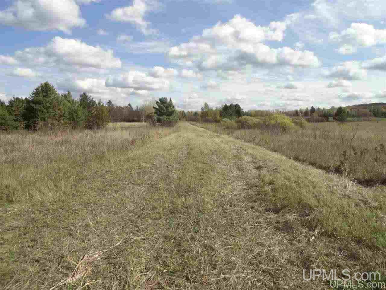Tbd South County Line Road Watersmeet, MI 49969 - Photo 12 of 16