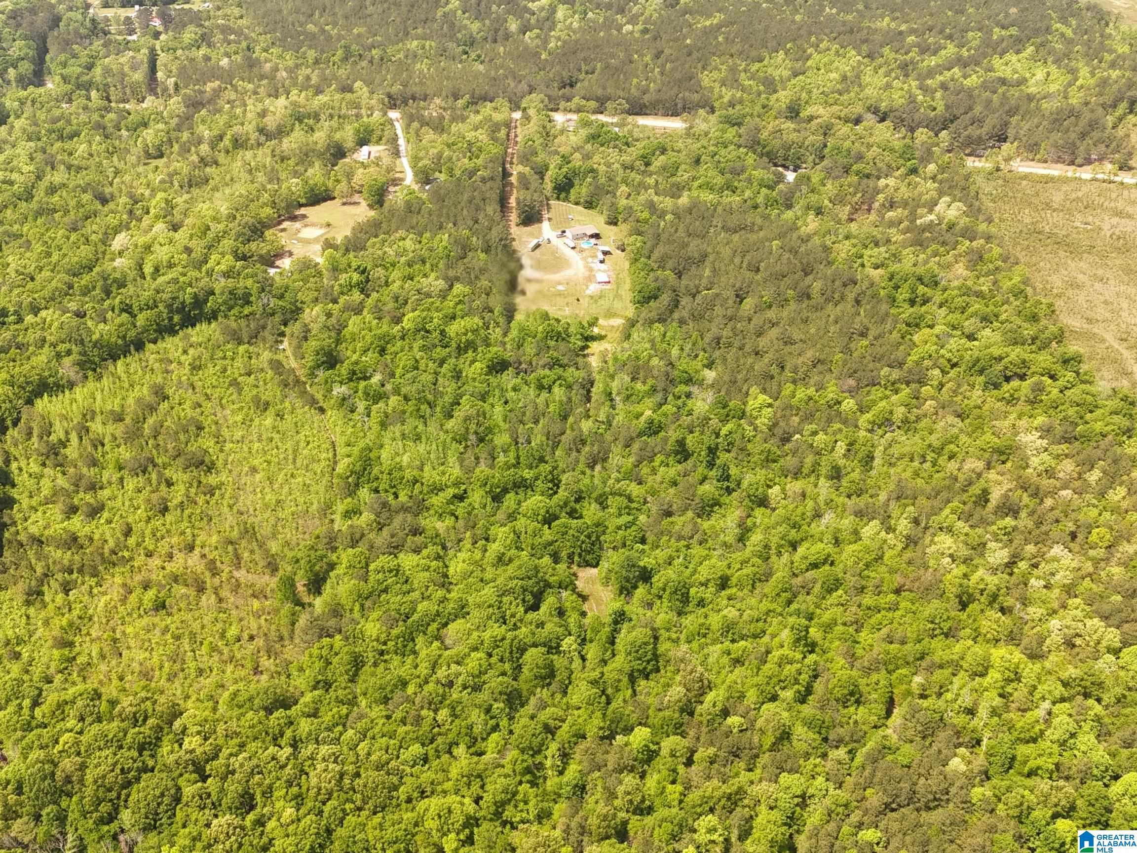 1336 Estes Road Piedmont, AL 36272 - Photo 5 of 50